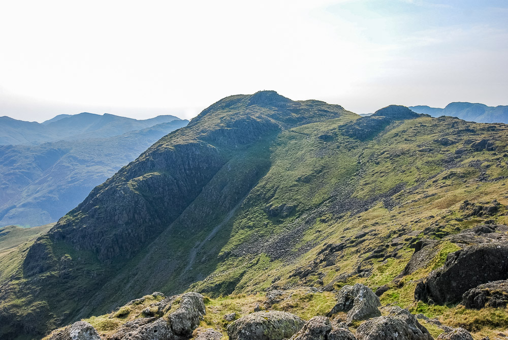 Harrison Stickle Harrison Stickle